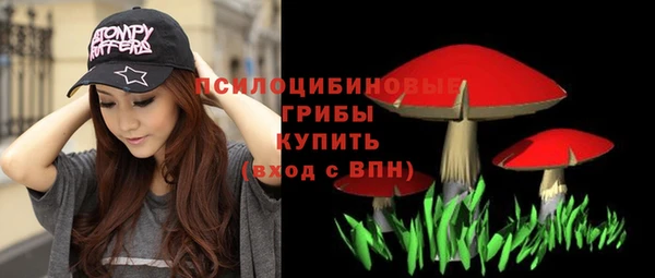 мяу мяу мука Баксан