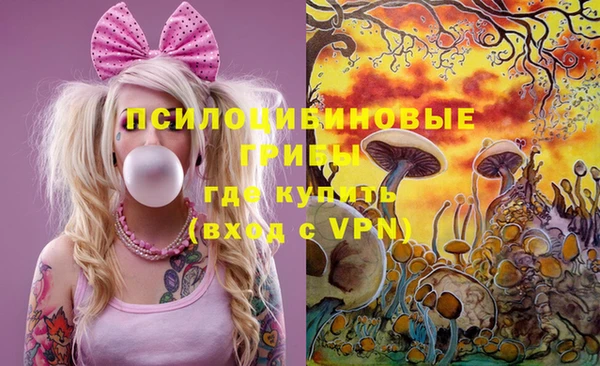 мяу мяу мука Баксан