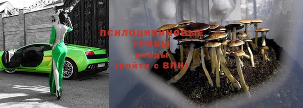 мяу мяу мука Баксан